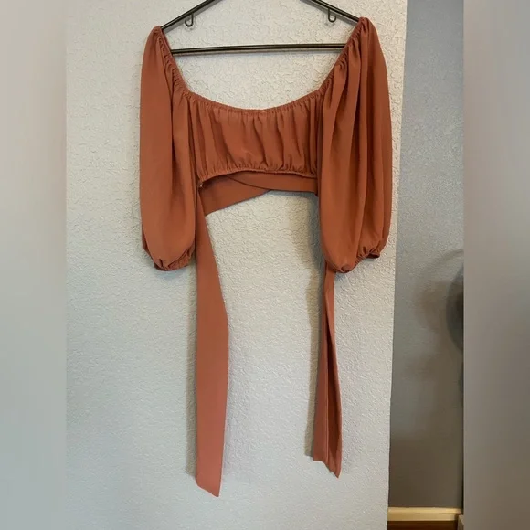 Blush BJ | Medium | Tie-Back/ Open Back | Crop Top | Bell Sleeves - Picture 2 of 10